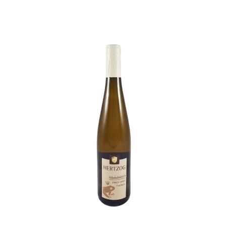 PINOT GRIS of ALSACE "Tradition" 2016