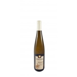 Vins d'Alsace Classiques Riesling "Tradition" 2023 sec AOC Alsace